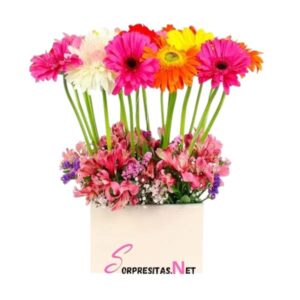 Jardín de Gerberas Brillante
