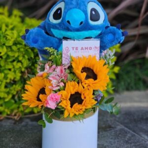 Arreglo de Amor Estelar